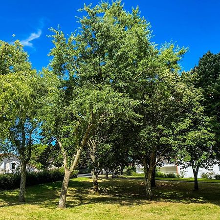 Apartamento T3 Moderne Avec Balcon Terrasse Et Parking Gratuit Niort Exterior foto